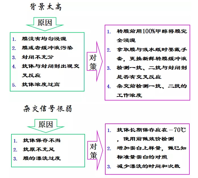 QQ截图20170329125852.jpg