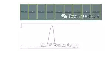 QQ截图20170329125818.jpg