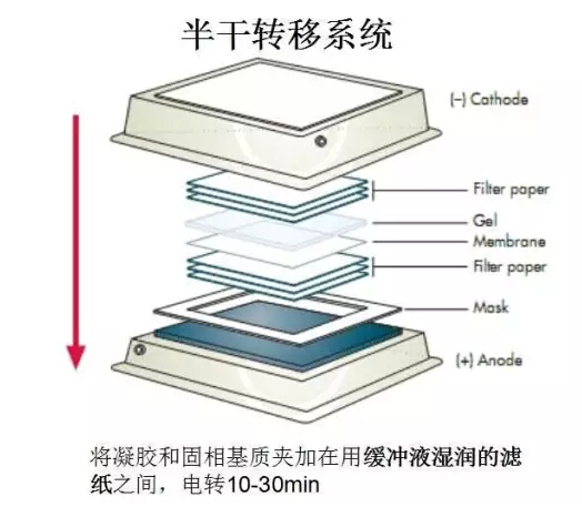 QQ截图20170329125719.jpg