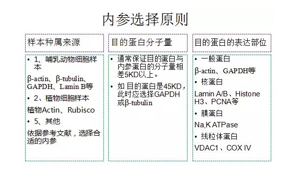 QQ截图20170329125648.jpg