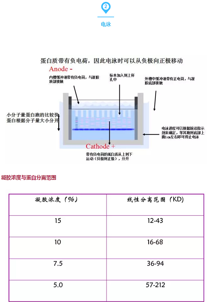 QQ截图20170329125637.jpg