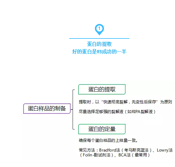 QQ截图20170329125621.jpg