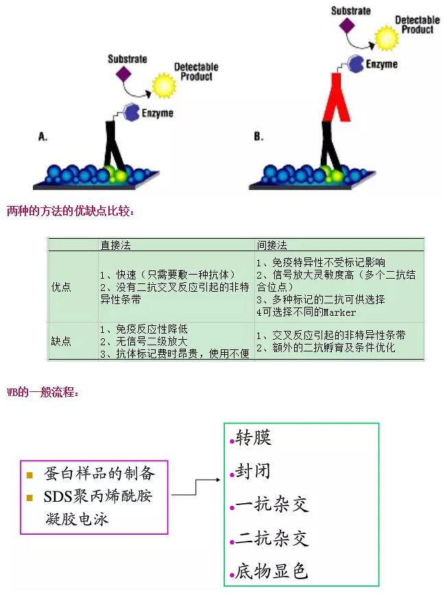 QQ截图20170329125610.jpg