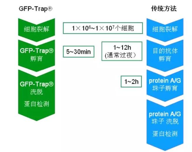 QQ截图20170601175557.jpg