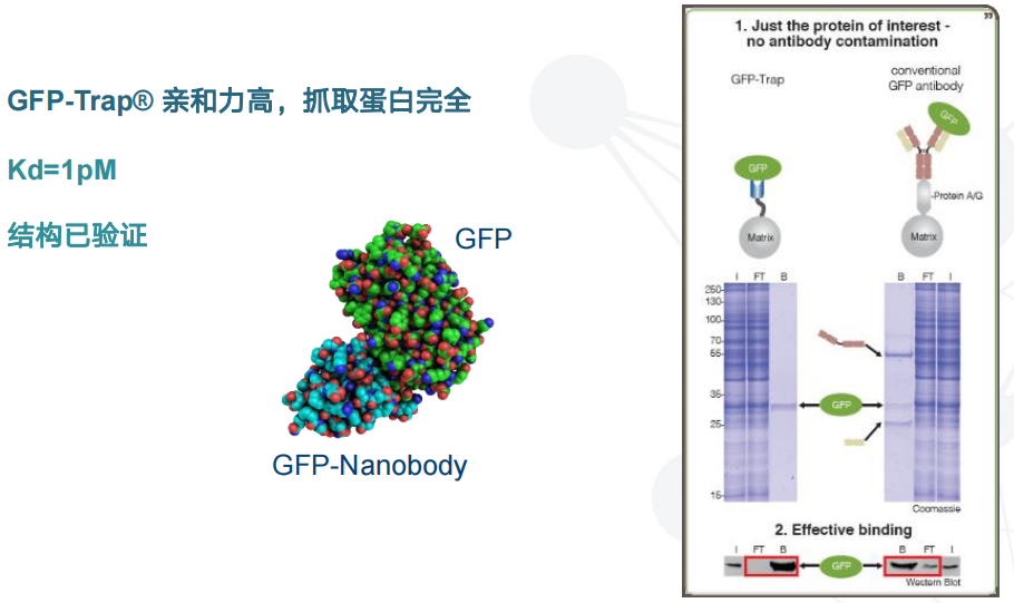 1689748019876280.png 图片8.png