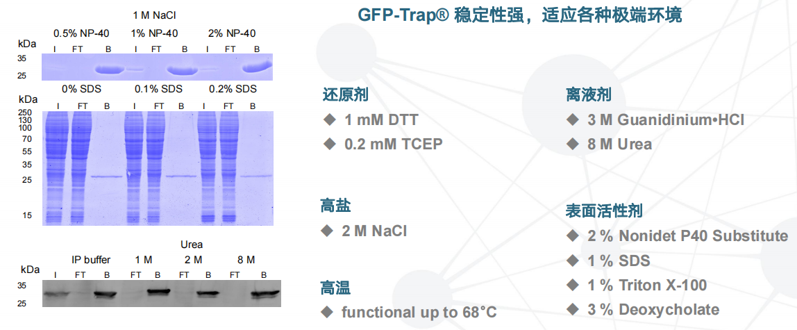 1689748029198882.png 图片9.png