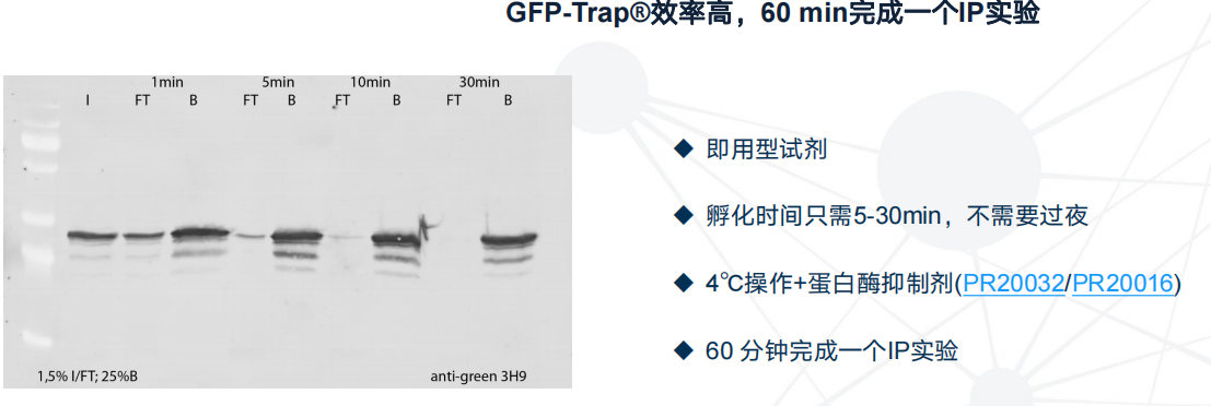 1689748038556576.png 图片10.png