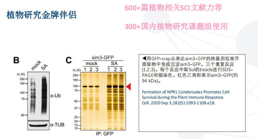 1689748066176442.png 图片13.png