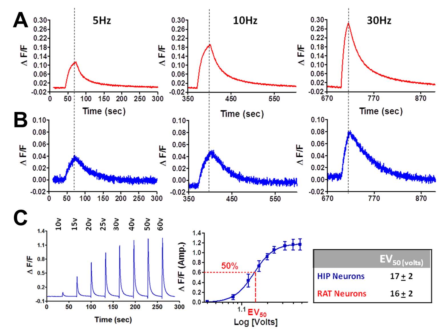 presynaptic release and excitability